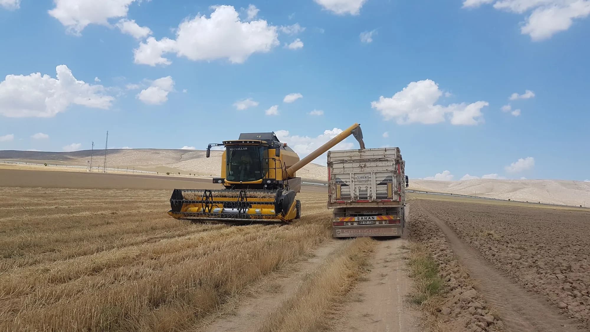 Combină agricolă descărcând cereale într-un camion, pe câmp